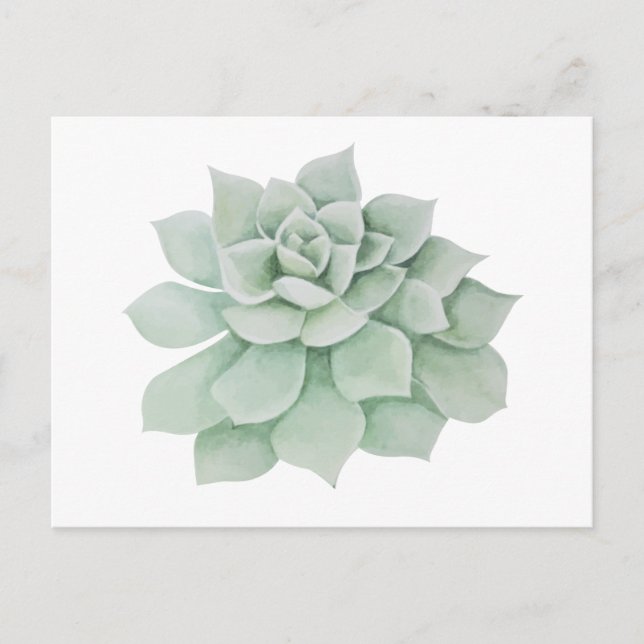 Postal Floral Gracias Mint Green Suculent Cactus (Anverso)