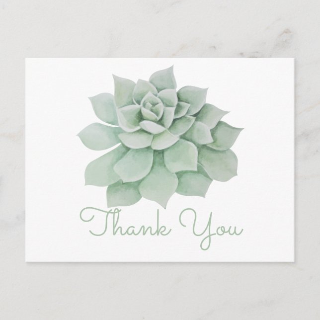 Postal Floral Gracias Mint Green Suculent Cactus (Anverso)
