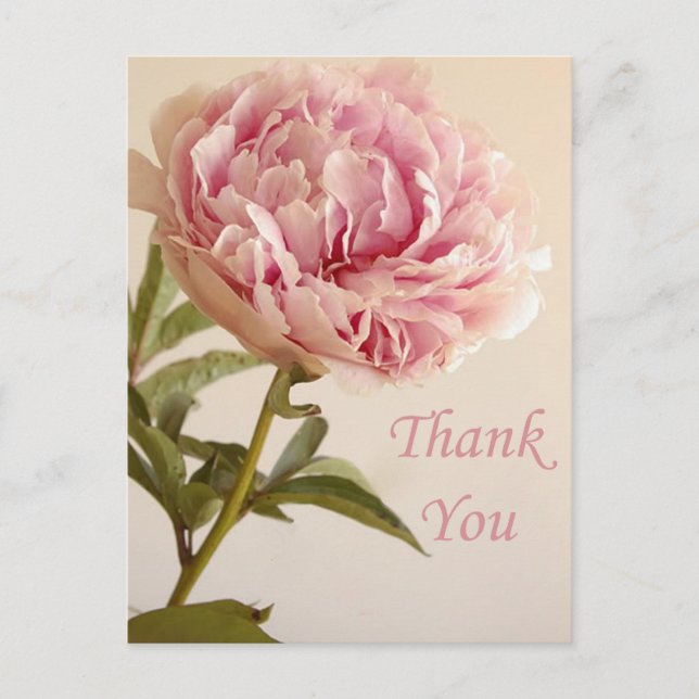 Postal Floral Gracias Pink Peony Flower (Anverso)