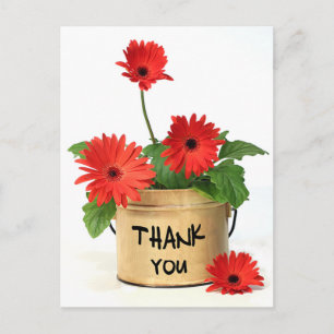 Postal Floral Gracias Red Gerbera Daisy Flowers