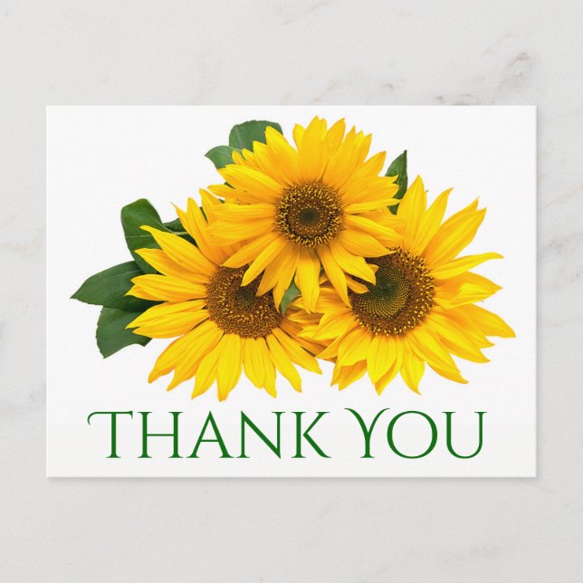 Postal Floral Gracias Sunflower Flores Amarillas y Verdes (Anverso)