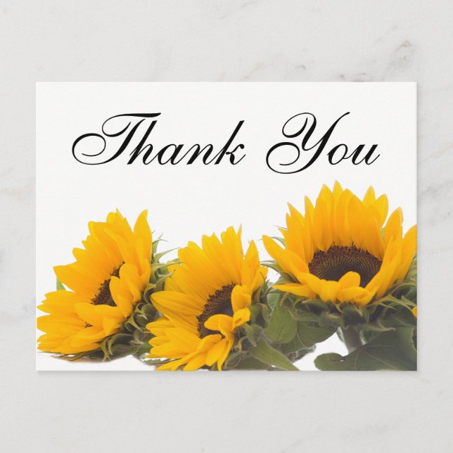 Postal Floral Gracias Sunflower Flores verdes amarillas (Anverso)