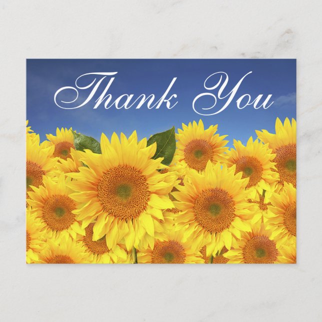 Postal Floral Gracias Sunflowers Flores Azules Amarillas (Anverso)