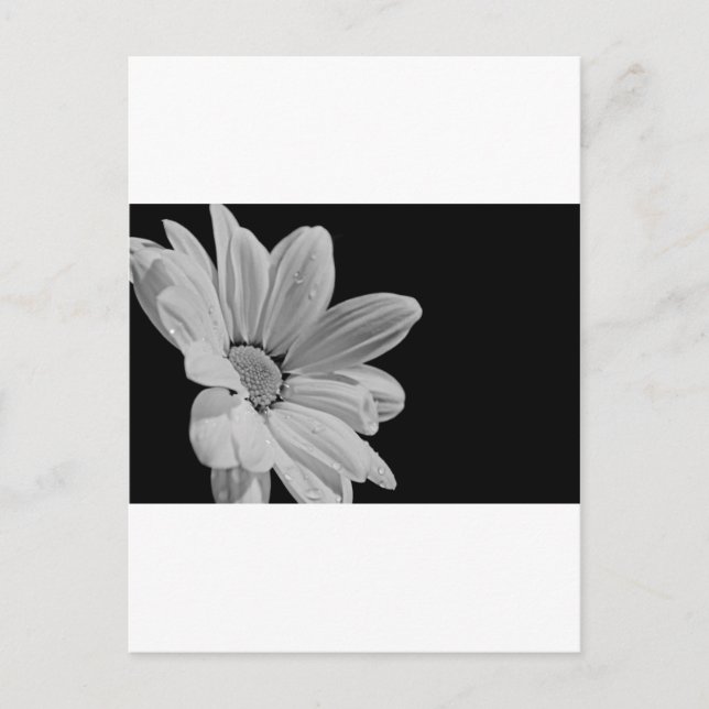 Postal Floral pacífica (Anverso)