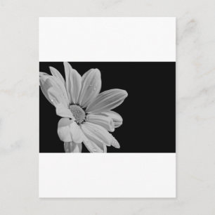 Postal Floral Pacífico