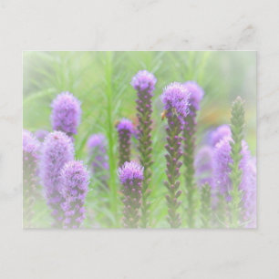 Postal Floral púrpura