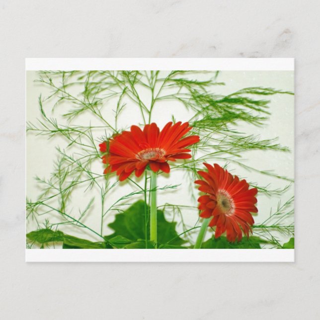 Postal Floral Rojo (Anverso)