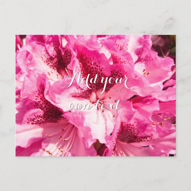 Postal Floral rosa - Personalizado (Anverso)