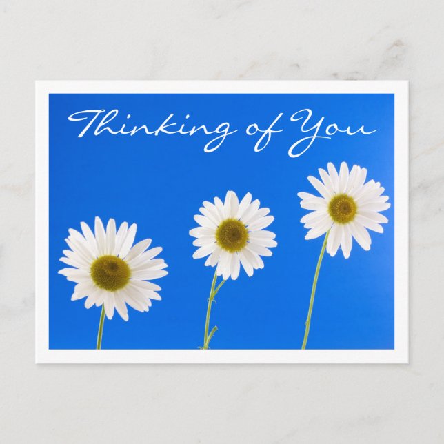 Postal Floral Thinking of You White Daisy Flower - Hola (Anverso)
