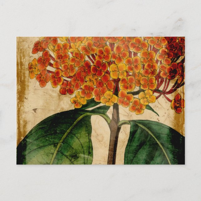 Postal Floral vibrante I (Anverso)