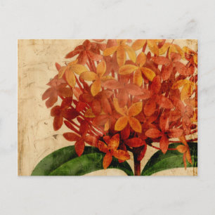 Postal Floral vibrante III