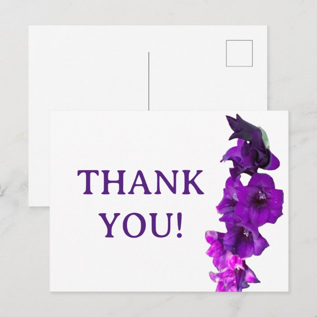 Postal Floral violeta morada gladiolus (Anverso / Reverso)