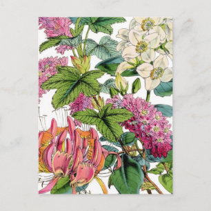 Postal Florales de primavera