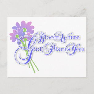 Postal Florecer donde Dios te plancha 2