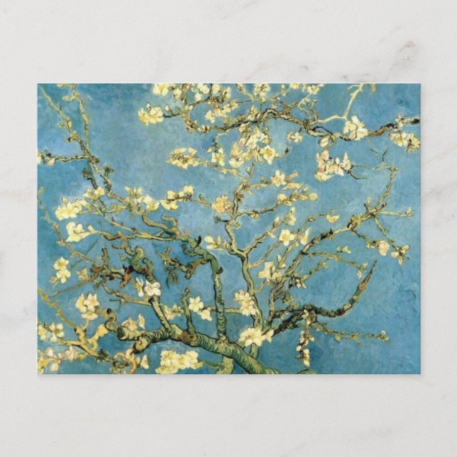 Postal Floreciente árbol de almendros por Van Gogh (Anverso)