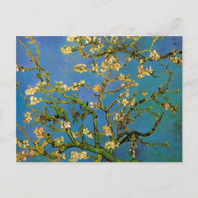 Postal Floreciente árbol de almendros por Vincent van Gog (Anverso)