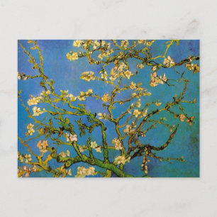 Postal Floreciente árbol de almendros por Vincent van Gog