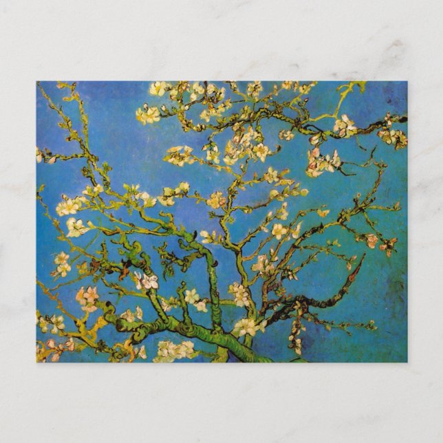 Postal Floreciente árbol de almendros por Vincent van Gog (Anverso)