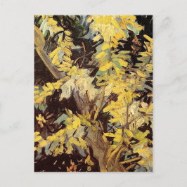 Postal Floreciente ramas de Acacia Vincent van Gogh.