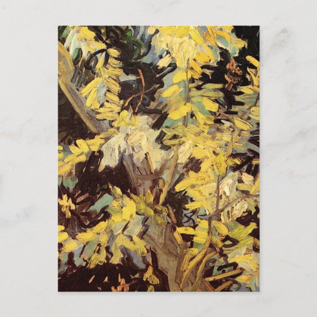 Postal Florecientes ramas de Acacia por Vincent van Gogh (Anverso)