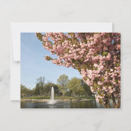 Postal Florecimiento de cerezos en Lincoln Park