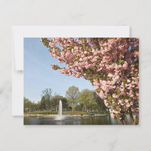 Postal Florecimiento de cerezos en Lincoln Park