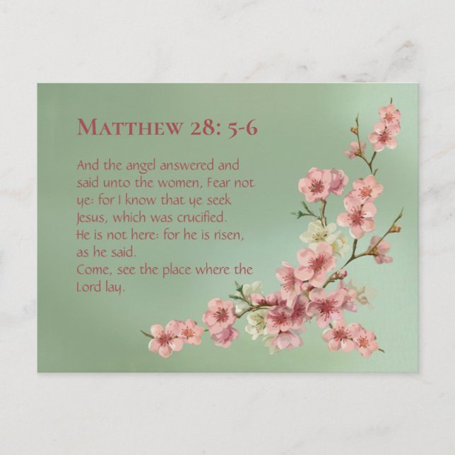 Postal Florecimiento de cerezos en rosa y Verde azulado (Anverso)