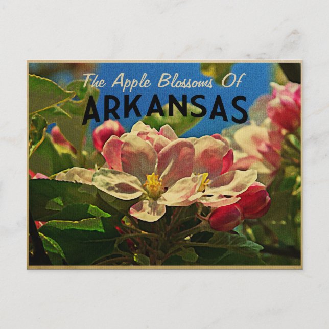 Postal Florecimiento de la manzana de Arkansas (Anverso)