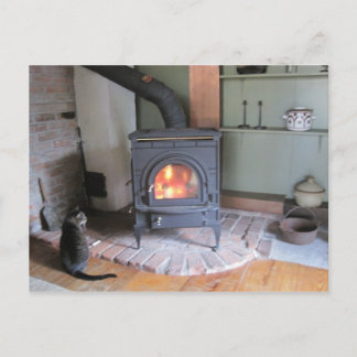 Postal Florecimiento de madera de campo con gato