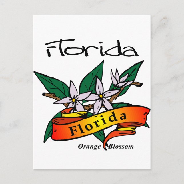 Postal Florecimiento de Naranja de flores en Florida (Anverso)