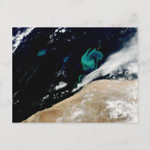 Postal Florecimiento del fitoplancton en Namibia Postcard
