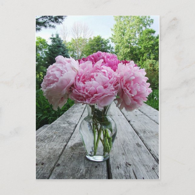 Postal Florero de Peonies rosados (Anverso)