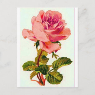 Postal Flores