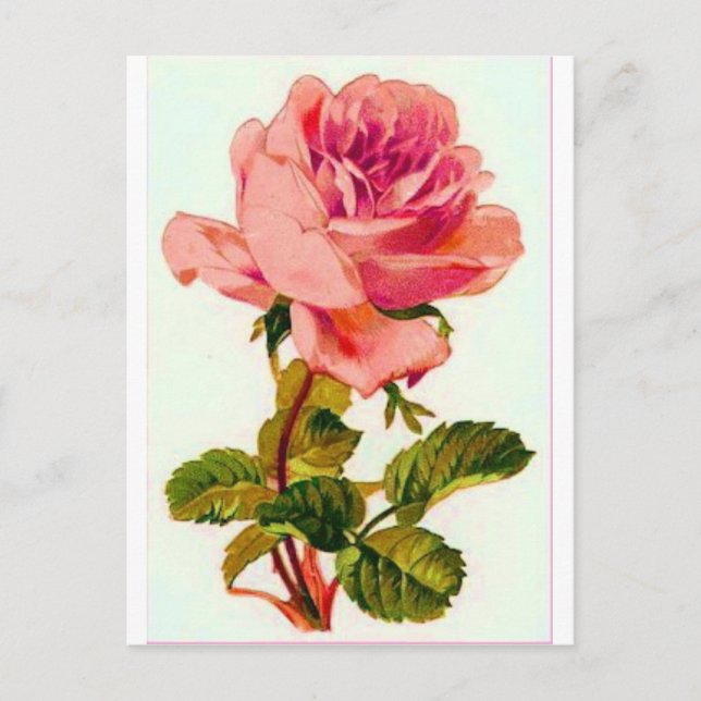Postal Flores (Anverso)