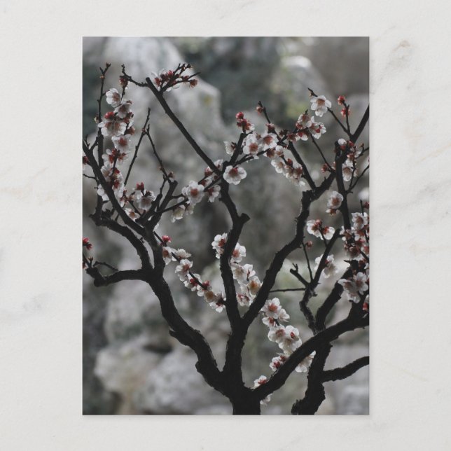 Postal Flores (Anverso)