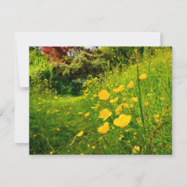 Postal Flores