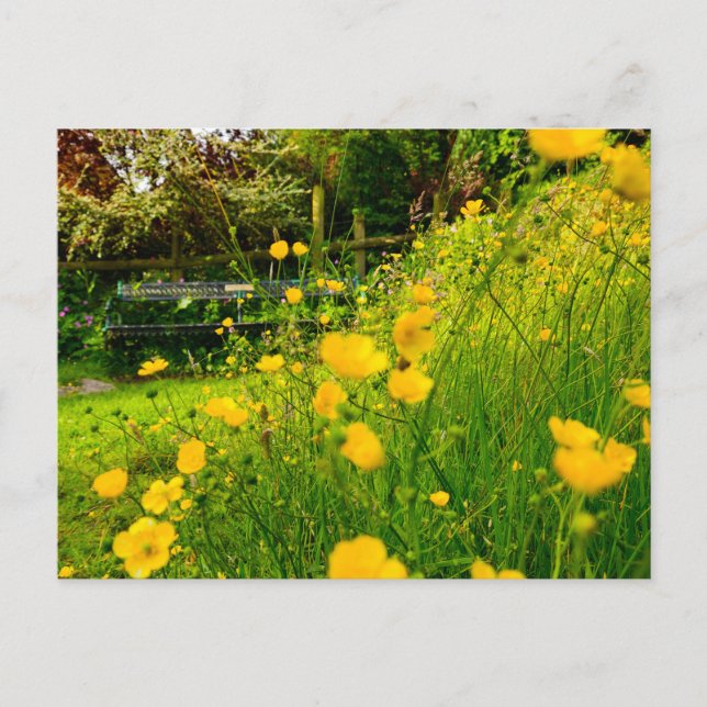 Postal Flores (Anverso)