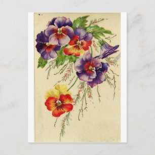 Postal Flores