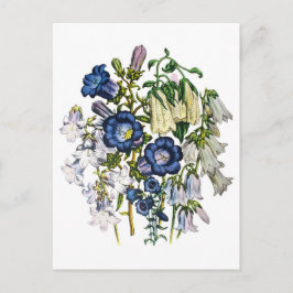 Postal Flores