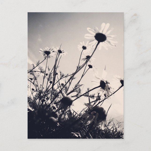 Postal Flores (Anverso)