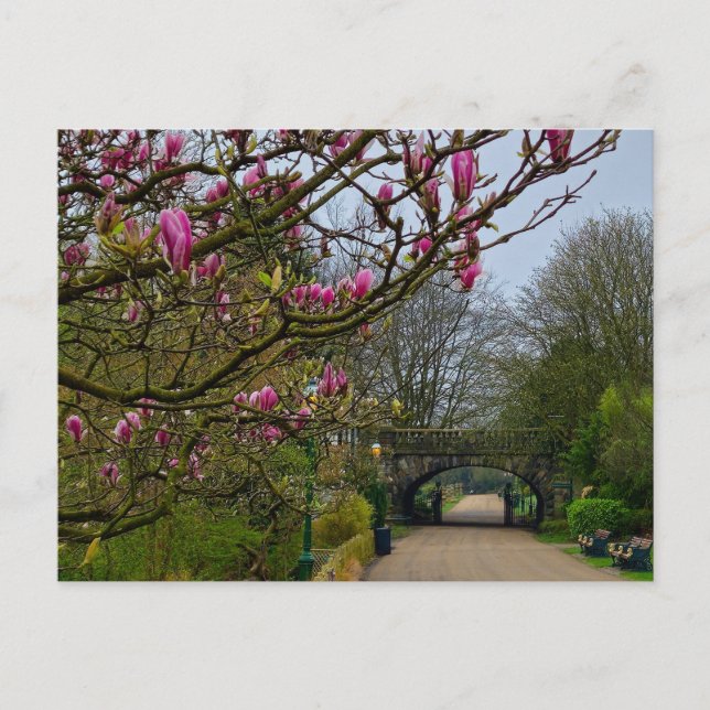 Postal Flores (Anverso)