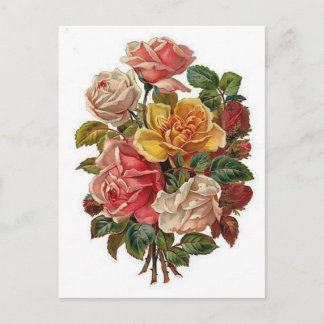 Postal Flores