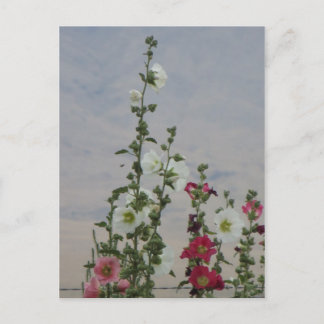 Postal Flores