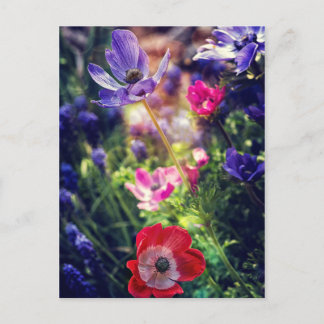 Postal Flores