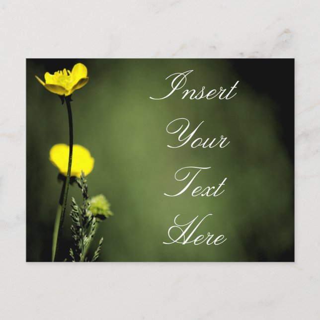 Postal Flores (Anverso)