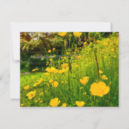 Postal Flores