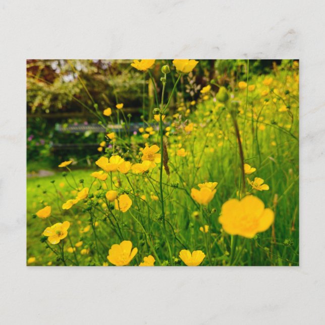 Postal Flores (Anverso)