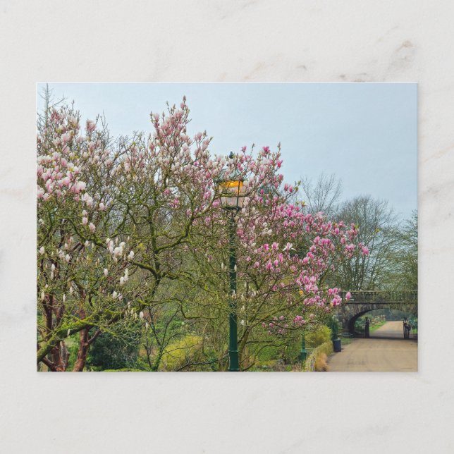 Postal Flores (Anverso)