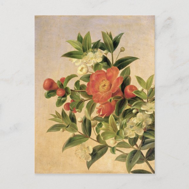 Postal Flores, 1835 (Anverso)