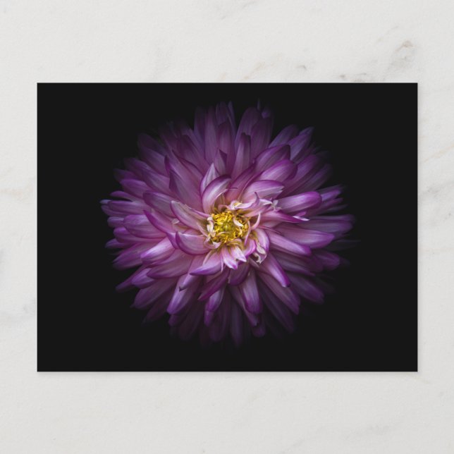 Postal Flores 20 (Anverso)